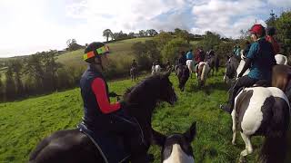 Gypsy cob Paddy having a hoolie at the Lessans Hunt Hack
