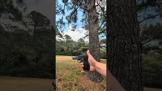 Resident Evil 9 Requiem Model 1934