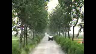 KBS1 ID - 경운기가 지나가는 가로수 길 (2001년 5월 26일)