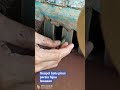 GOSOK BATU PIRUS PERSIA HIJAU LAWASAN