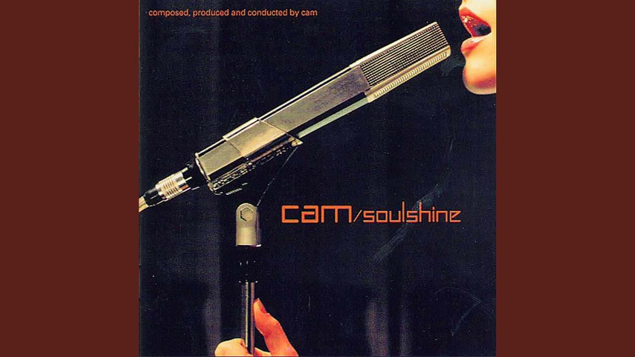 DJ CAM / SOULSHINE (2LP)