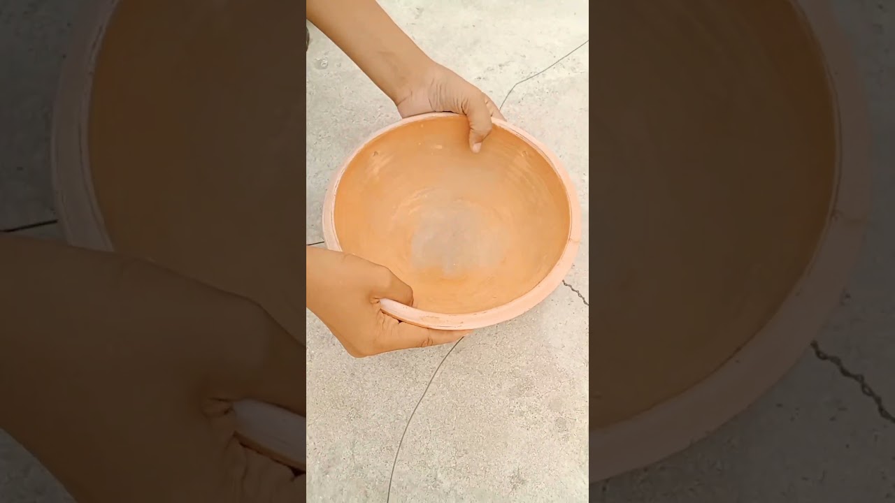 birds water feeder || helping of birds in hot sunlight || ( Mini vlog ) 