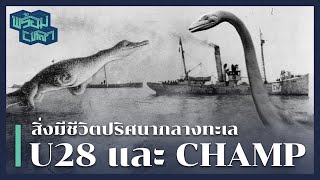 U28 & CHAMP : สิ่งมีชีวิตปริศนากลางทะเล คาดว่าเป็นตระกูลเดียวกับสัตว์ดึกดำบรรพ์ !!