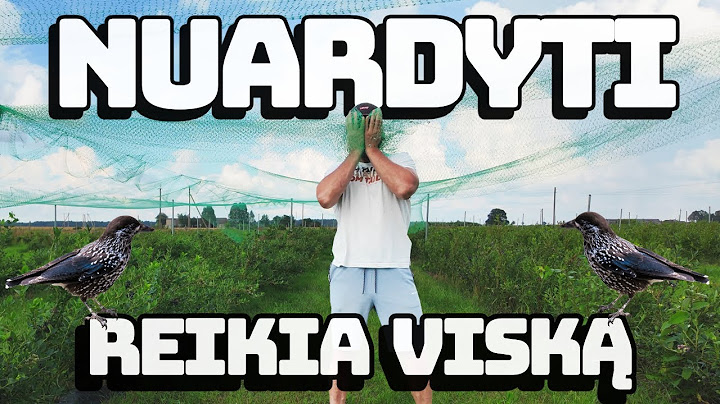 Paukščių tinklai, daug nervų ir klaidų. Ar pagaliau pavyks?