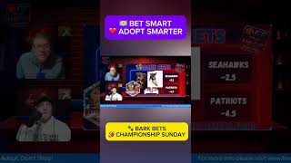 Bark Bets in a Blizzard ❄️🐶 | Winter Storm Fern Picks