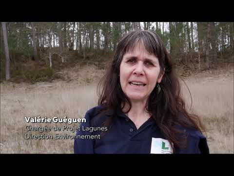 LES LAGUNES 