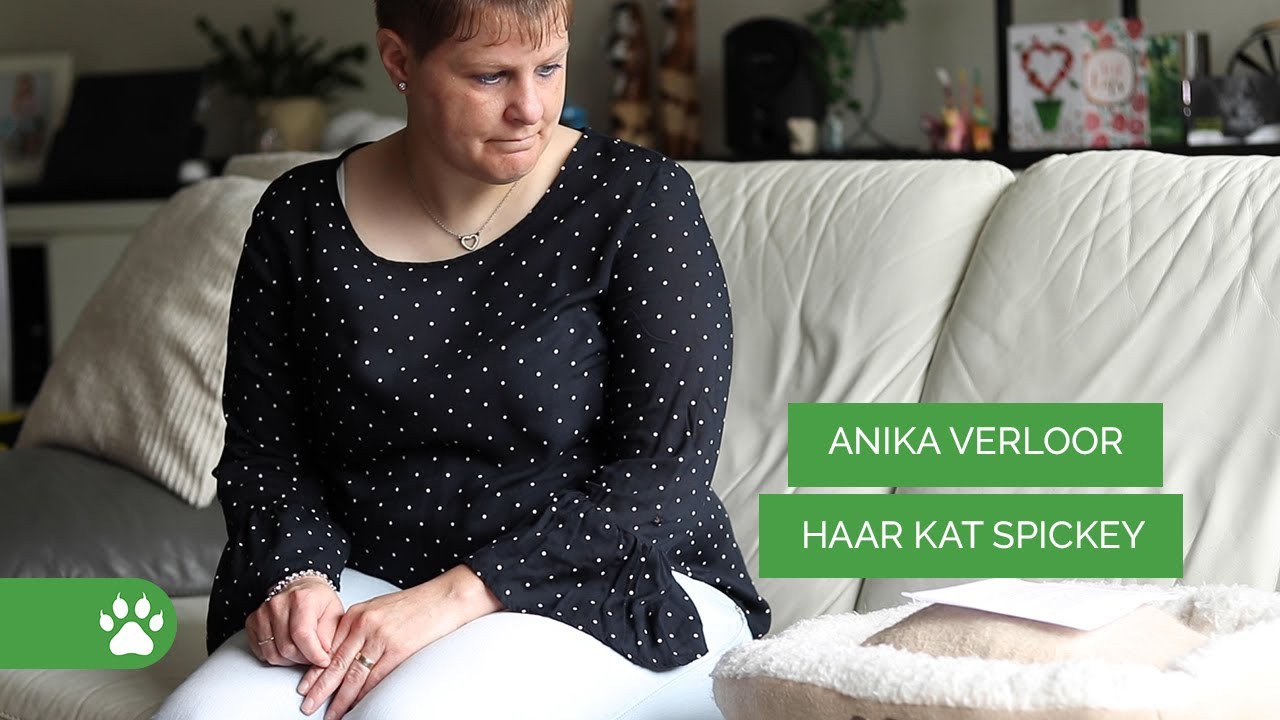 Afscheid nemen van je overleden kat - Rouw #1
