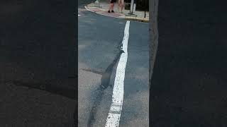 Reading PA. what the hell did I come outside for only in Reading