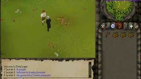 Runescape Freaky Forester