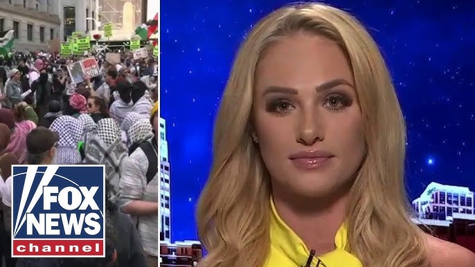 Tomi Lahren This Shows You How Far The Democrat Party Has Fallen