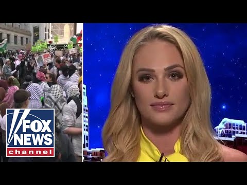 Tomi Lahren: 'This shows you how far the Democrat Party has fallen'