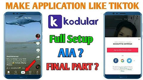 Make a Application Like Tiktok | Final? | In Kodular , appybuilder In hindi || Earn 100$ Daily