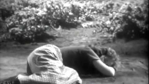 Bài Diễn Văn Hay Nhất Của Charlie Chaplin