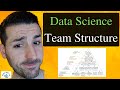 Data Science Team Structure & Data Science Hierarchy of Needs