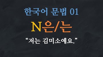 Korean Grammar 01: N은/는(Quiz PDF download↓) 한국어 문법|Learn Korean |Basic Korean Grammar:Topic Particle