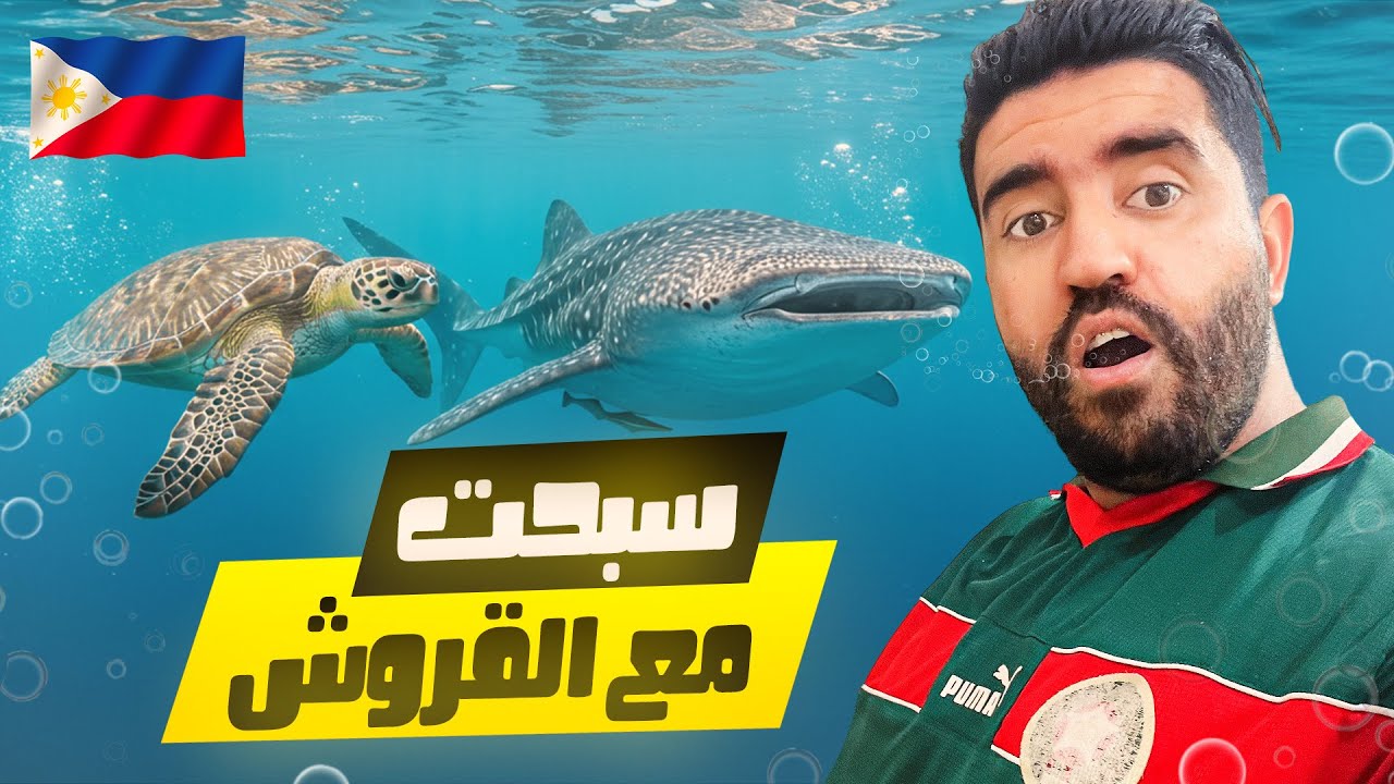 عمت بالتوني ديال المنتخب مع القرش الحوتي و سلحفات عملاقة والآلاف من السردين في الفلبين 🐋🐢