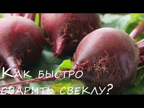 Как сварить свеклу быстро совет и просто 👍  лайфхак #1000menu