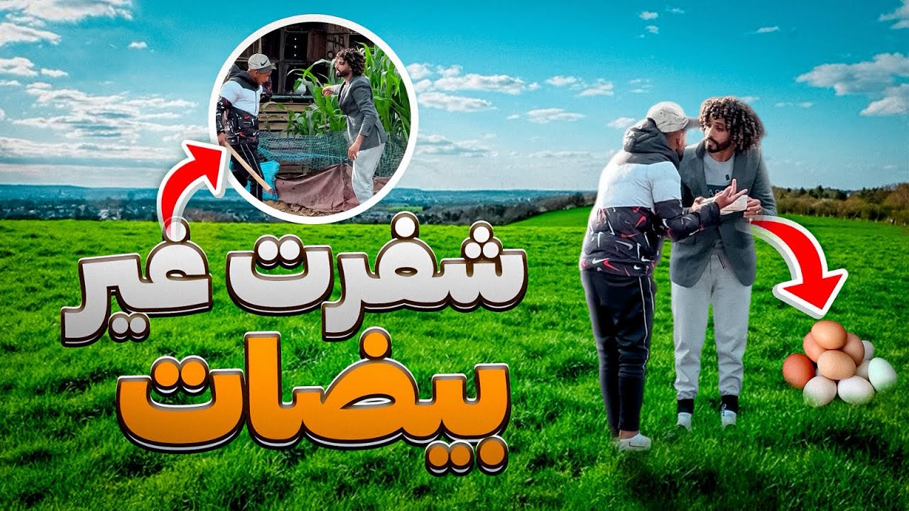شفرت بيض نعام و حصلت حصلة ديال 🐕😂