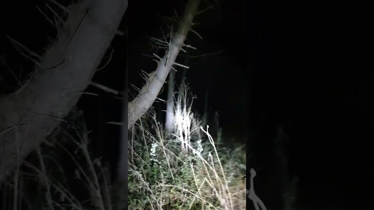 2 Αυγούστου 2025