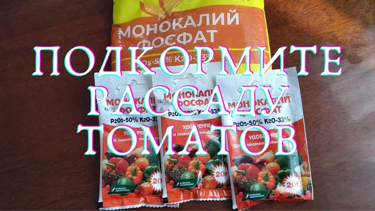 Как подкормить рассаду помидор монофосфатом калия. Монофосфат калия для рассады томатов. Монофосфат калия для рассады перцев. Монофосфат калия подкормка для рассады перцев. Удобрение Кемера для рассады.