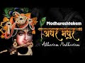 Adharam madhuram  madhurashtakam  devotional song  krishna bhajan l ecstatic peaceful song