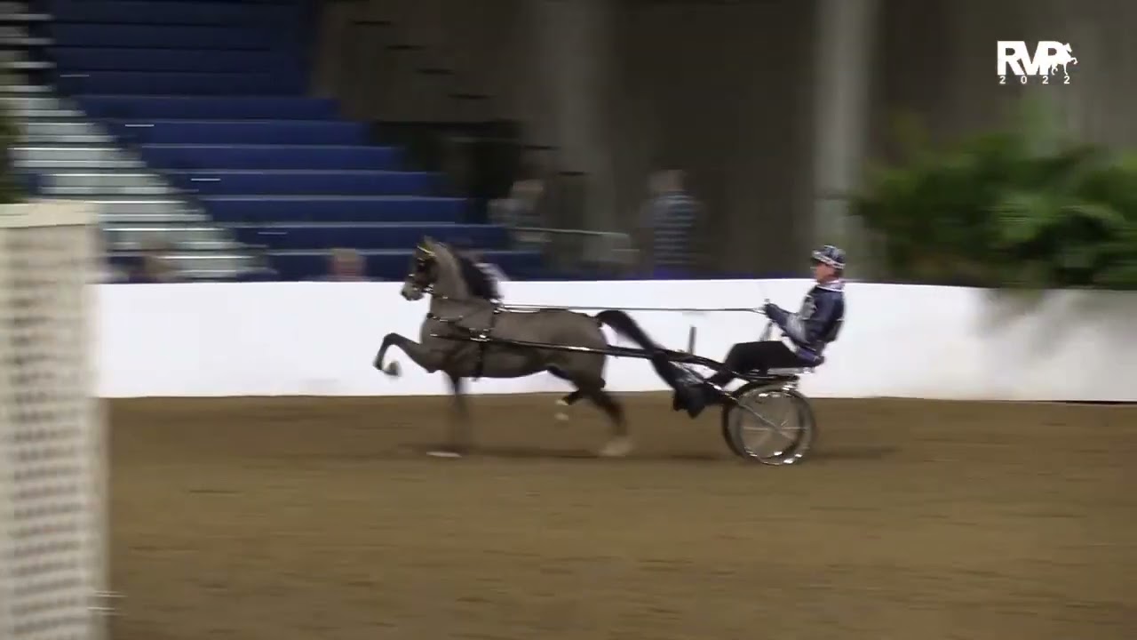 Wait And See’s Master Commander