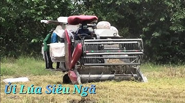 Xem Dòng Máy Cắt Yh850 Đời Mới Hàm 2m3 Ủi Lúa Ngã Lâu Năm Như Bánh Tráng Tây Ninh