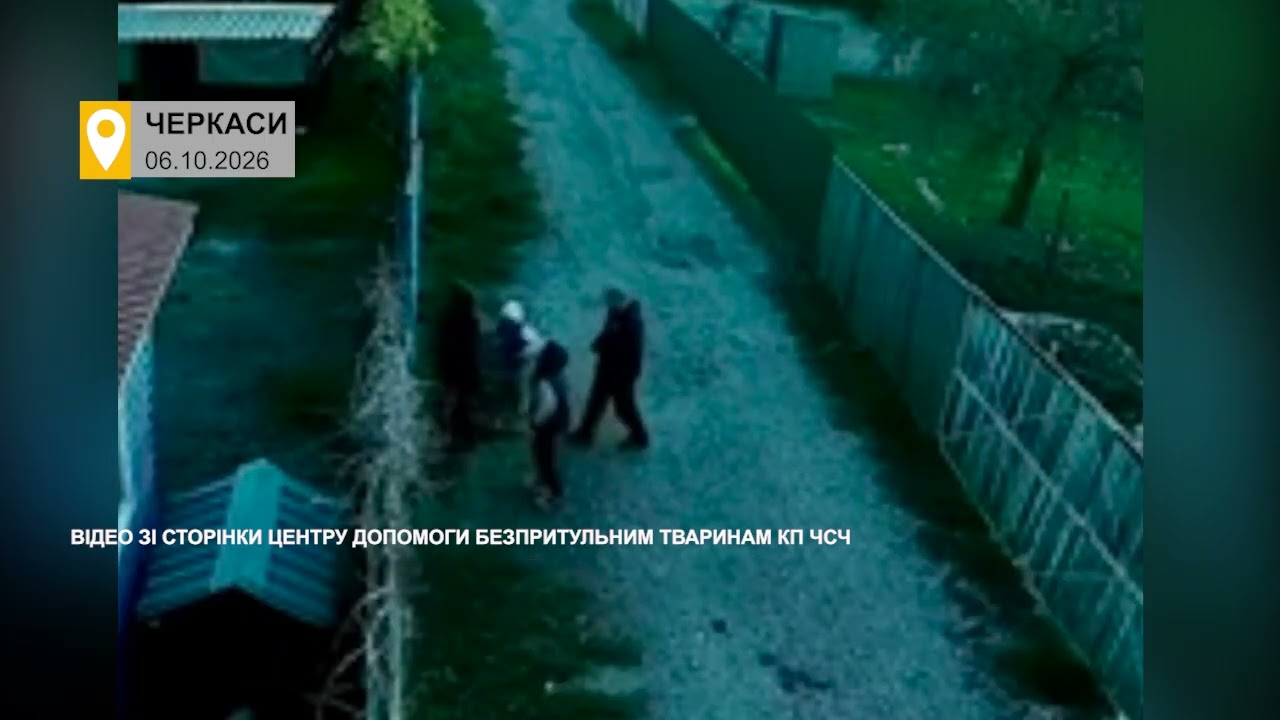До комунального притулку підкинули тримісячне цуценя
