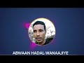 Gabaygii Waano Abwaan Hadal Wanaaje