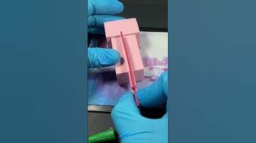 Minecraft Axolotl made out of Polymer Clay in 60 Sec #minecraft #clayart #shorts