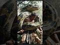 Giant snake attacks!