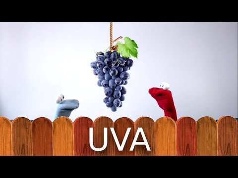 Video: Por Qué Las Uvas Son útiles Para Niños Y Adultos