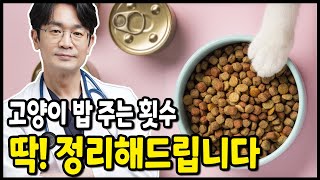 고양이 하루 몇번을 줘야하나? 건사료 VS 습사료? 자율급식 VS 제한급식? 어떤 캔사료를 주어야 하나? 청키? 파테? 플레이크? 슈레드?