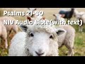Psalms 21 30 NIV Audio Bible With Text 