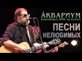 Аквариум БГ - Песни Нелюбимых. Live (Новосибирск, 24.02.2016)