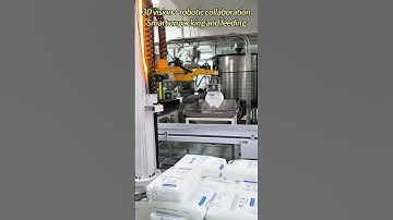 3D vision system#unpacking #palletizer #automobile #robot