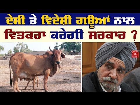 ਹਰ ਗਊ ਦੀ ਸੰਭਾਲ ਕਰਨਾ ਬਹੁਤ ਔਖਾ: Bajwa