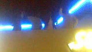 Somailan Brisbane Z Nwa