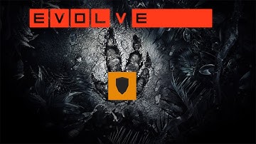 Evolve - All 5 Supports in 1 Video