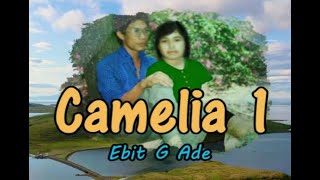 CAMELIA 1 EBIT G ADE - MPEG-4 Full HD