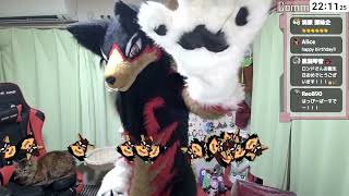 【fursuit/獣化#138】水曜のもふもふタイム🐾【ジュージュー/JuuJuu】#fursuit #獣化 #live