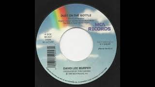 David Lee Murphy - Dust On The Bottle 432hz