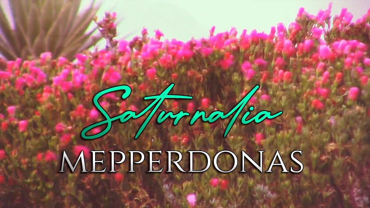 Watch Saturnalia - Mepperdonas (Vídeo Oficial) on YouTube Watch Saturnalia - Mepperdonas (Vídeo Oficial) on YouTube