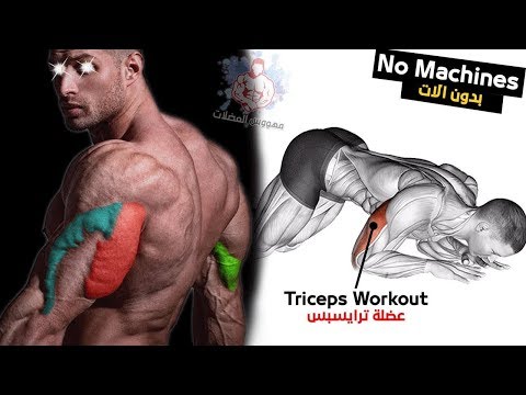 Video: Kā Izveidot Tricepsu Bez Trenažieriem