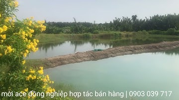 Phước lại, cần giuộc long an | bán 2900m2 đất mặt tiền đường Bà Kiểu, giá 2,5 triệu/m2