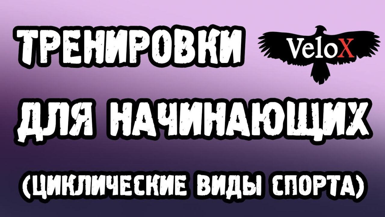 Циклические виды спорта (бег, велоспорт): тренировки для начинающих