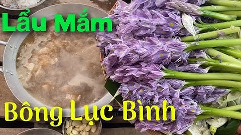 Lẩu mắm bông lục bình mặn mòi hương vị đất phương nam | Cù Lao Dung Vlogs #105