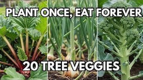 These 20 Vegetables Grow Like Fruit TREES! Plant Once, Eat Forever