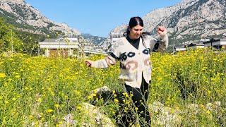 BUGÜN OKULA İKİSİNİDE NEDEN GÖTÜRMEDİM🫢YİNE PERDE YIKADIM🫢SİBEL NEGETİRMİŞ😳