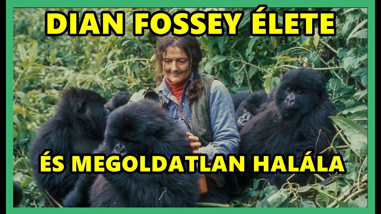 DIAN FOSSEY HIHETETLEN ÉLETE, és MEGOLDATLAN HALÁLA